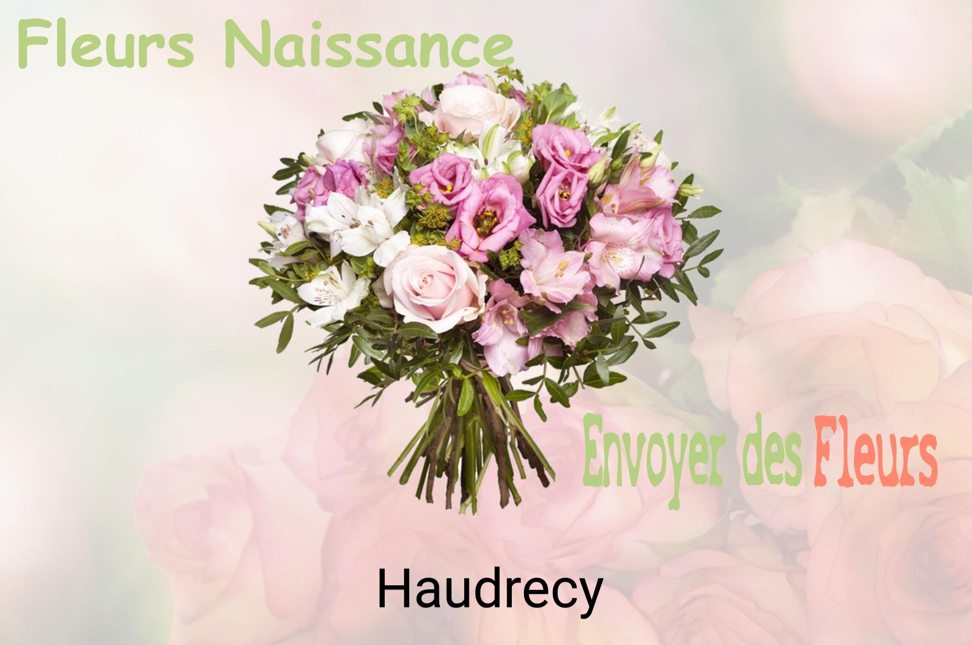 Bouquet de fleurs de naissance livré à Haudrecy